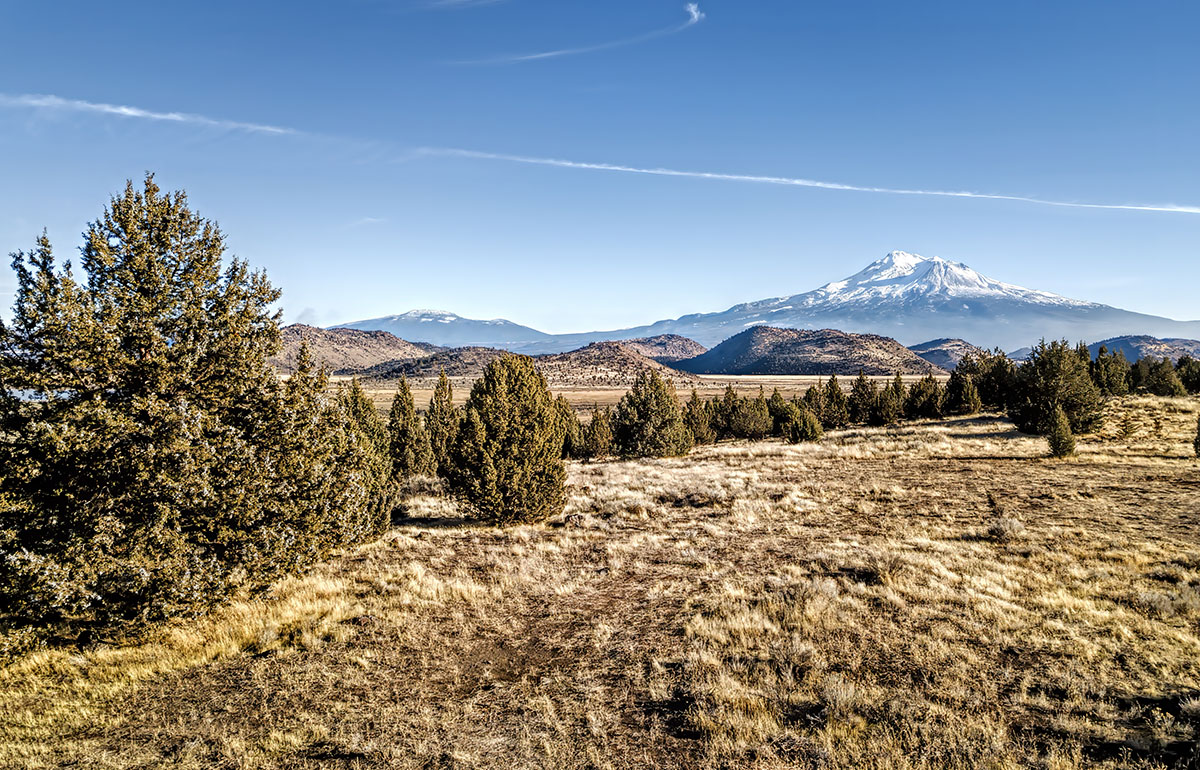 Aerial view of Mount Shasta